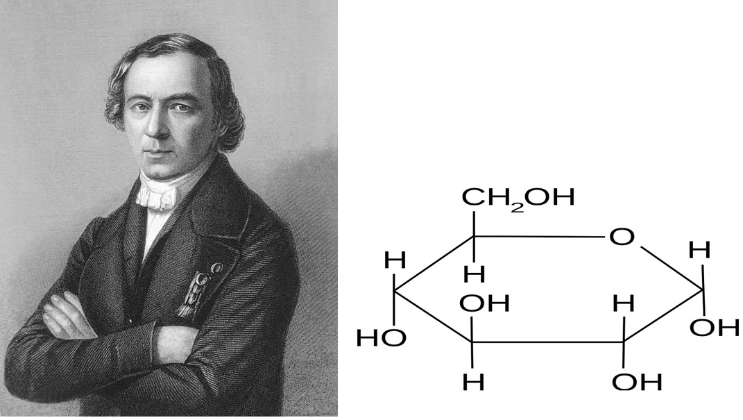 1838年葡萄糖被正式命名，自此，揭开了糖相关研究的序幕。