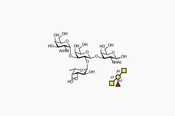 Blood type tetrasaccharide A Type III/IV