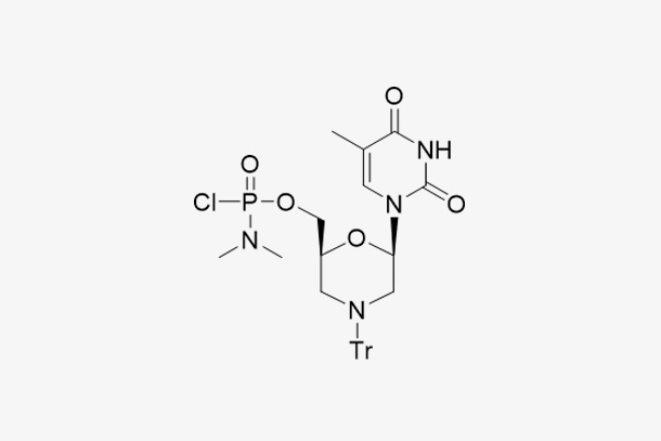 Morpholino T subunit