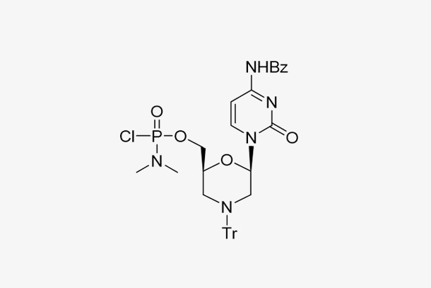 Morpholino C subunit