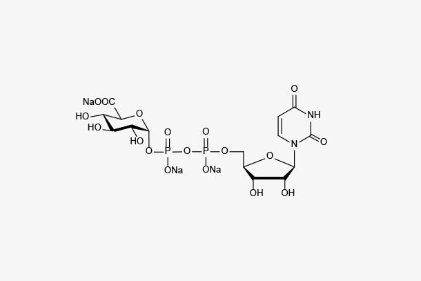 UDP-GlcA.3Na