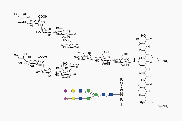 Sialylglycopeptide (SGP)