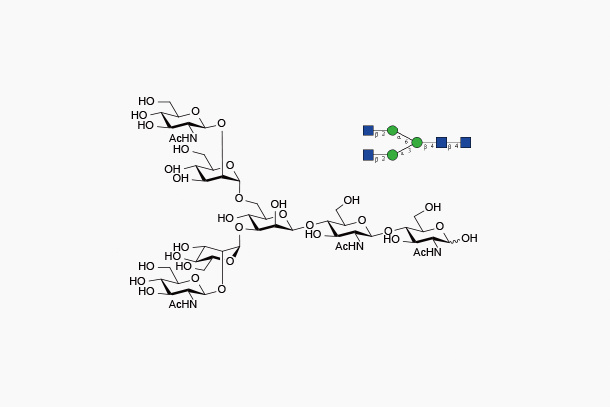 G0-Glycan