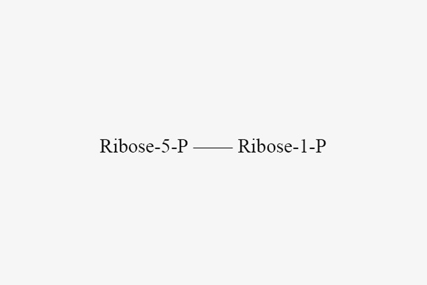 Phosphopentomutase (EcDeoB)