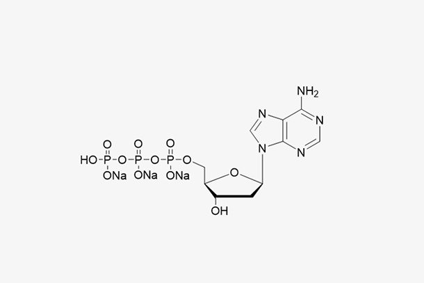 dATP Sodium Salt Solution(100 mM)