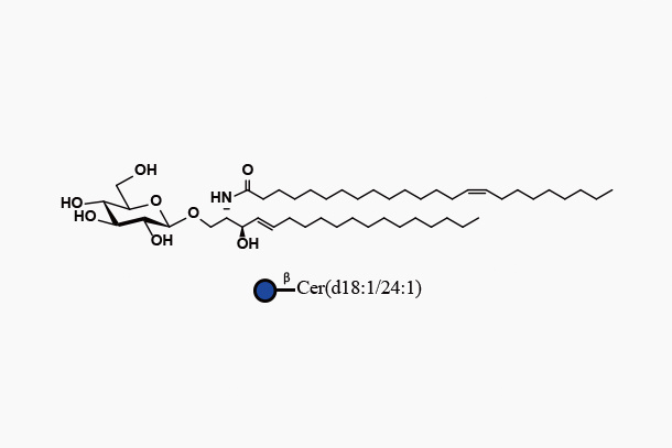 GlcCer d18:1/24:1 (GlcbCeramide)