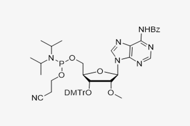3'-DMT-2'-OMe-A(Bz)-CE Reverse