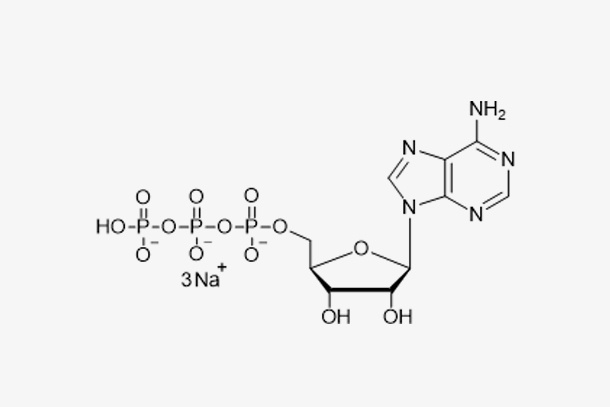 ATP sodium solution (100 mM)