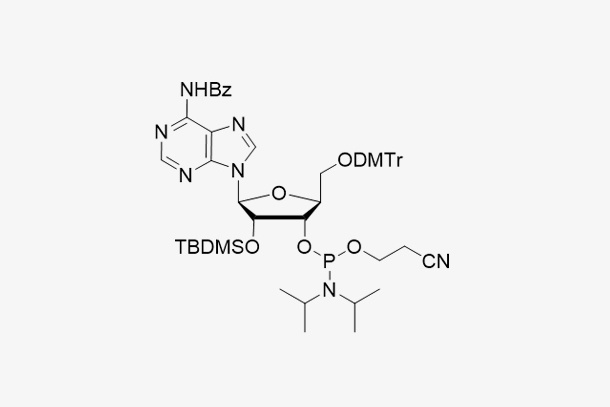 5'-O-DMTr-2'-O-TBDMS-L-A(Bz)-3'-CE