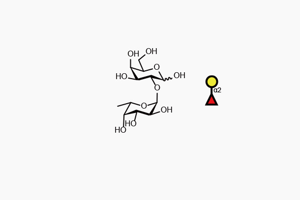 Blood type disaccharide H