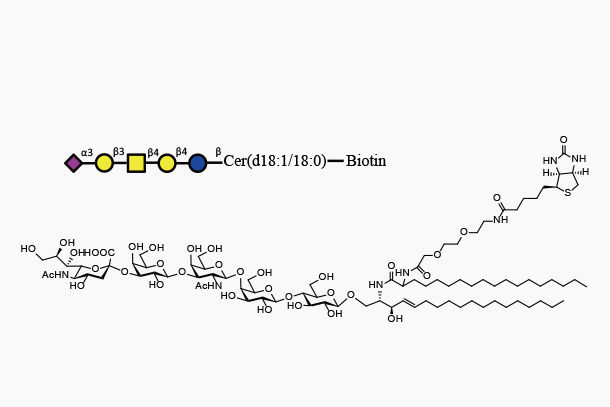 LacCer d18:1/18:0-Biotin (Galb1,4GlcbCeramide-Biotin)