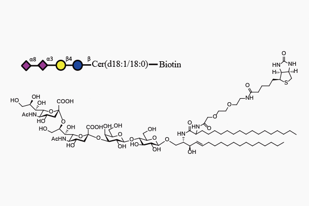 GD3Cer d18:1/18:0-Biotin (Neu5Aca2,8Neu5Aca2,3Galb1,4GlcbCeramide-Biotin)