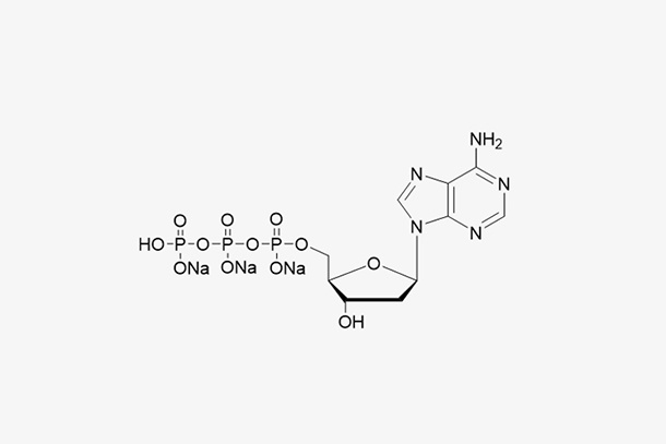 dGTP Sodium Salt Solution(100 mM)