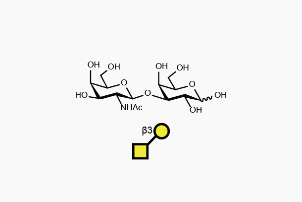 GalNAcb1, 3Gal
