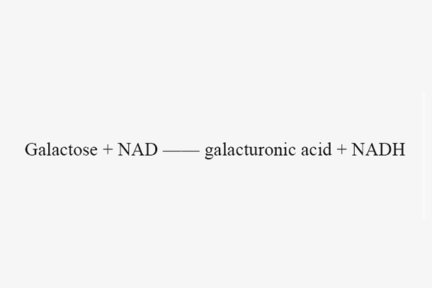 Galactose dehydrogenase (PfGalDH)