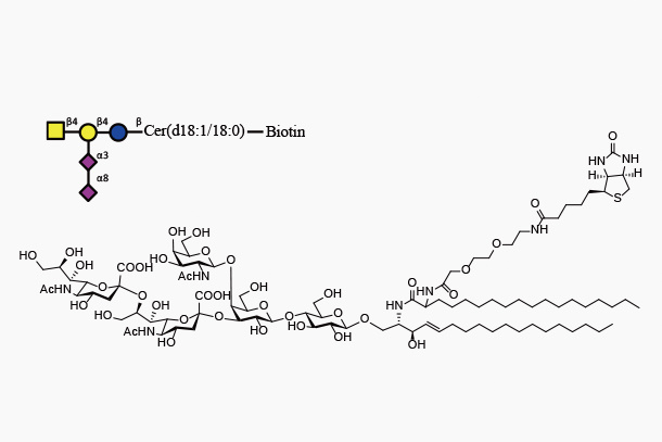 GD2Cer d18:1/18:0-Biotin (GalNAcb1,4(Neu5Aca2,8Neu5Aca2,3)Galb1,4GlcbCeramide-Biotin)