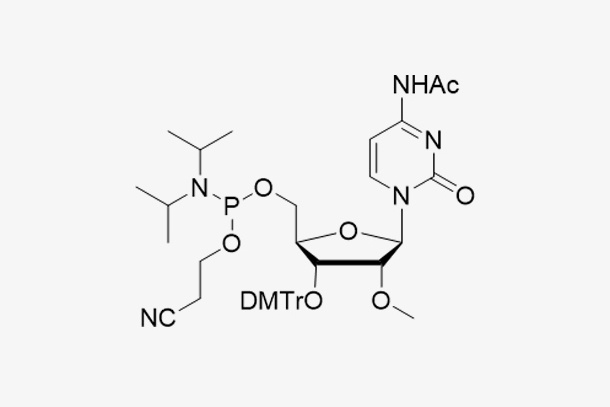 3'-DMT-2'-OMe-C(Ac)-CE Reverse