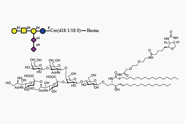 GD1bCer d18:1/18:0-Biotin (Galb1,3GalNAcb1,4(Neu5Aca2,8Neu5Aca2,3)Galb1,4GlcbCeramide-Biotin)