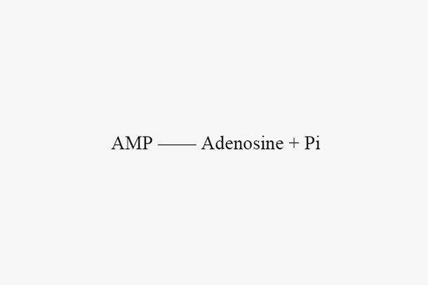 Alkaline phosphatase (Apase)
