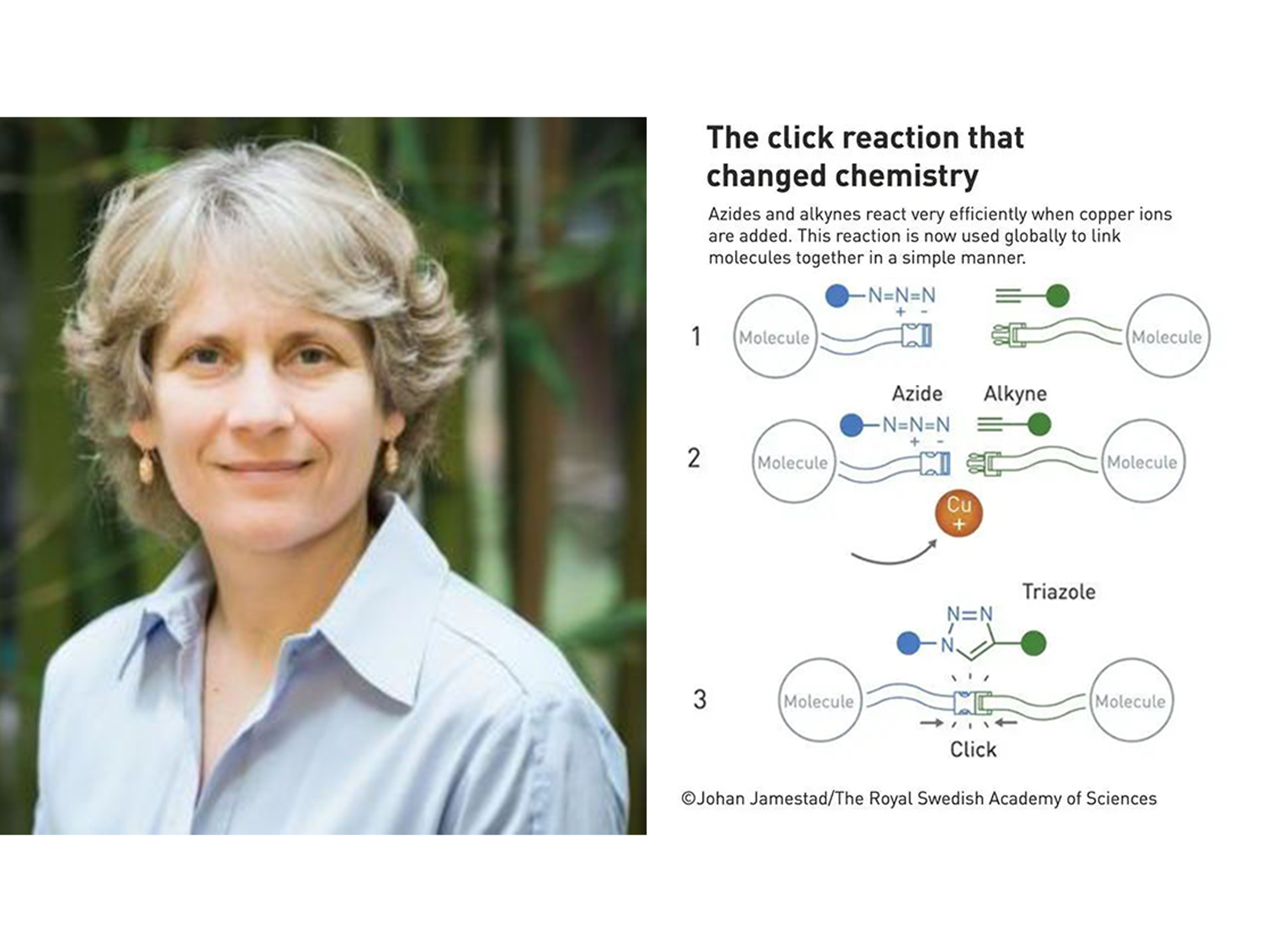 2022 Nobel Prize in Chemistry - Carolyn R. Bertozzi has contributed to the development of click chemistry and bioorthogonal chemistry. 2022 Nobel Prize in Chemistry - Carolyn R. Bertozzi has contributed to the development of click chemistry and bioorthogonal chemistry.