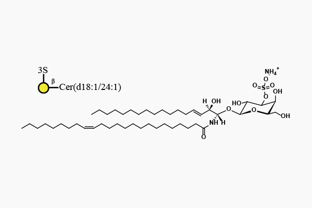 Mono-sulfo-GalactosylbCeramide(d18:1/24:1)