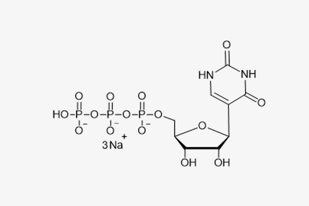 pUTP sodium solution(100 mM)