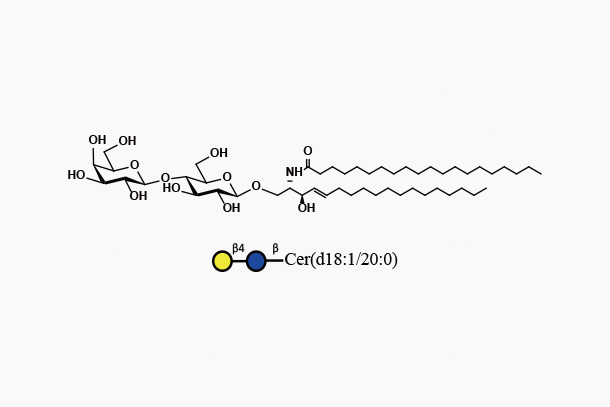 LacCer d18:1/20:0 (Galb1,4GlcbCeramide)