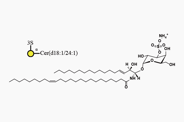 Mono-sulfo-GalactosylaCeramide(d18:1/24:1)