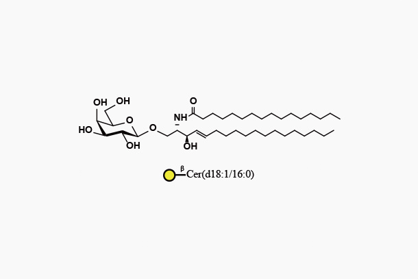 GalCer  d18:1/16:0（GalbCeramide）