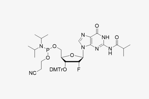3'-DMT-2'-F-dG(iBu)-CE Reverse