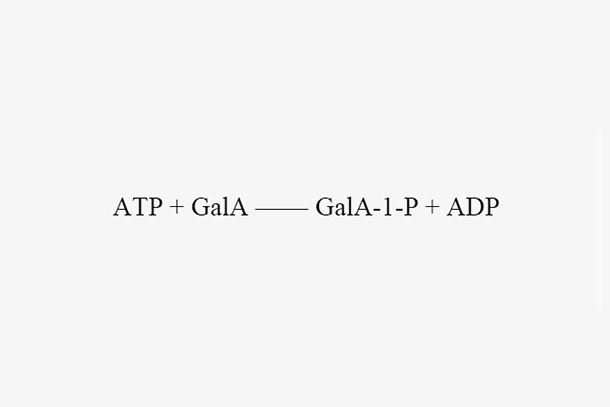 Galcuronokinase (AtGalAK)