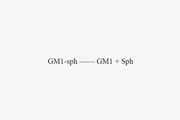 Endoglycoceramidases Ⅰ (EGCaseI)