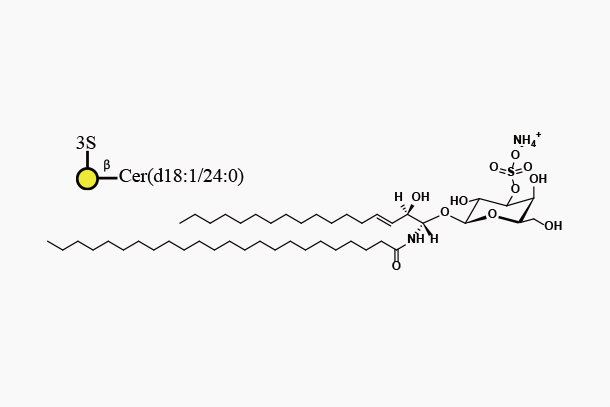 Mono-sulfo-GalactosylbCeramide(d18:1/24:0)