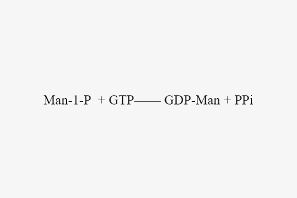 GDP-mannose pyrophosphorylase (PH0925-DN350)