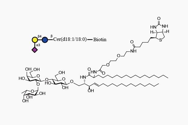 GM3Cer d18:1/18:0-Biotin ((Neu5Aca2,3)Galb1,4GlcbCeramide-Biotin)