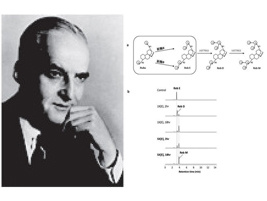 1970年诺贝尔化学奖-Luis F.Leloir发现了糖核苷酸及其在碳水化合物生物合成中的作用,对于阐明生物化学中最基本的问题多糖的生物合成机理做出了贡献。