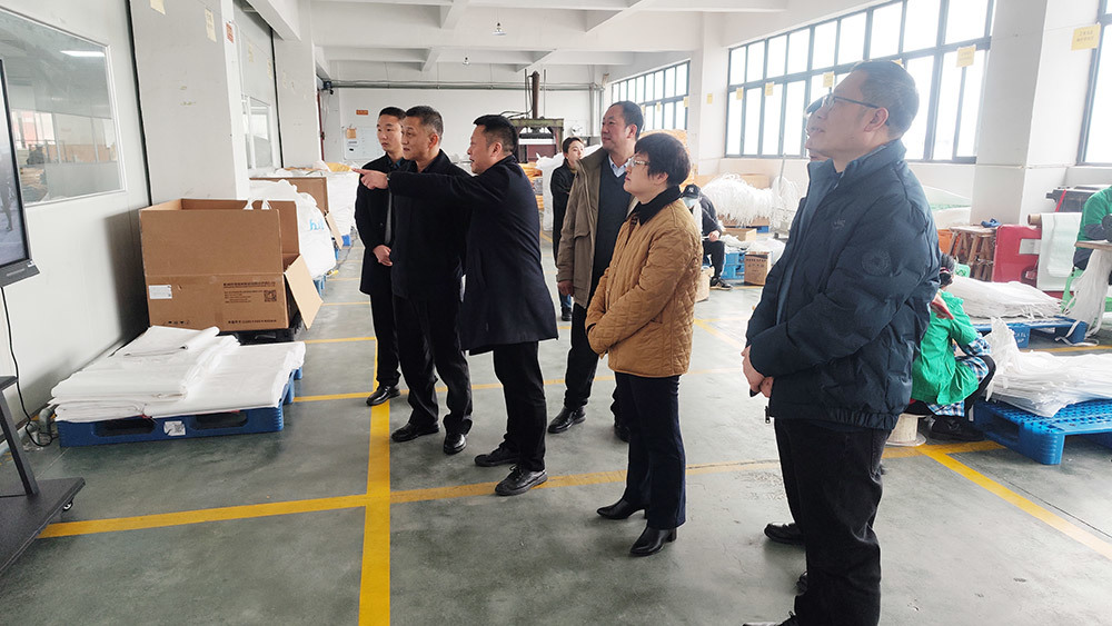 市級領導及副區(qū)長來公司考察