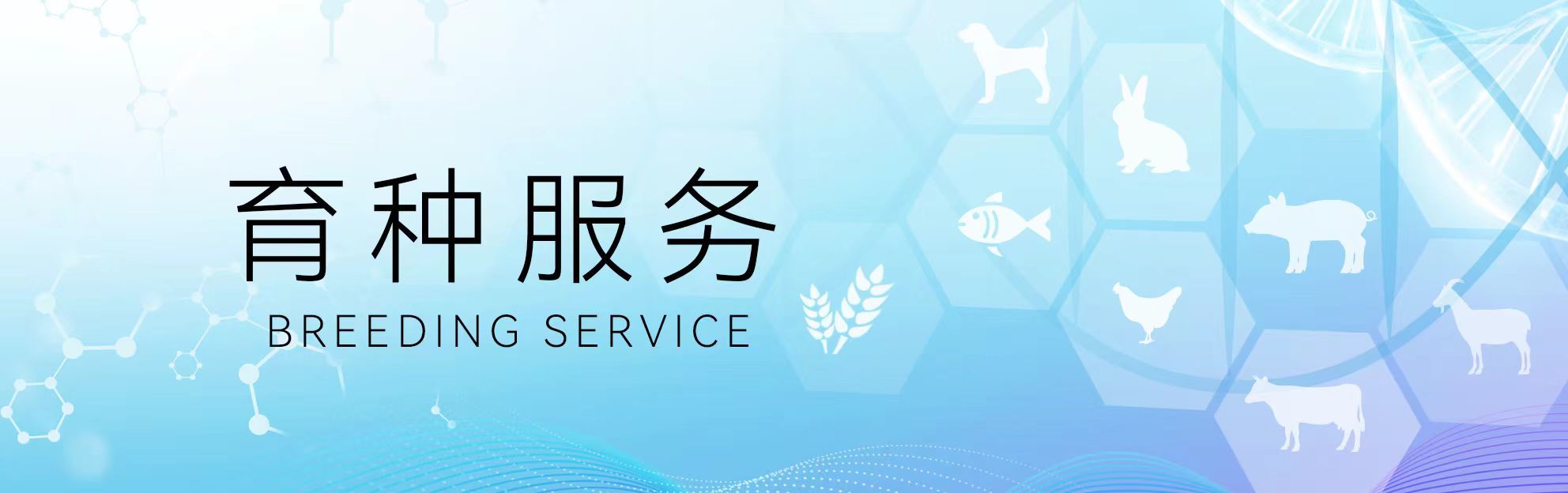 物种