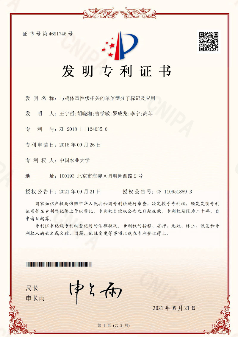 鸡体重性状单倍型标记