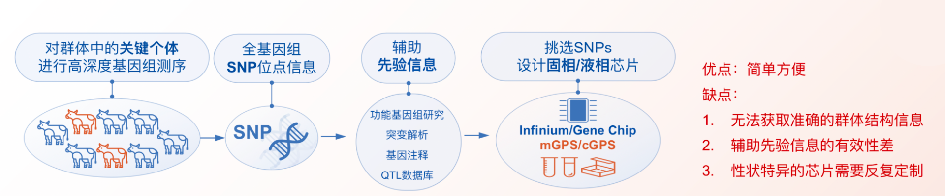 广州科技有限公司