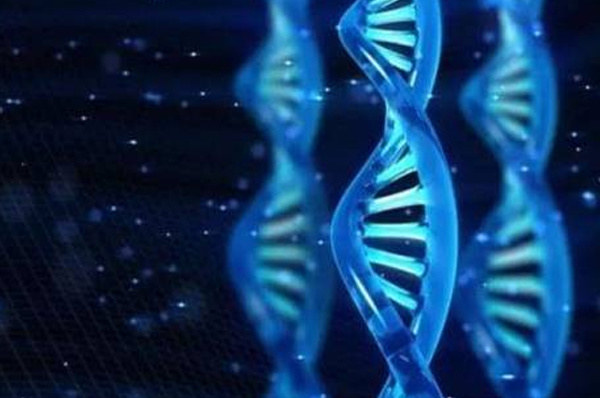 广州科技有限公司