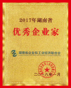 2017年湖南省優秀企業家