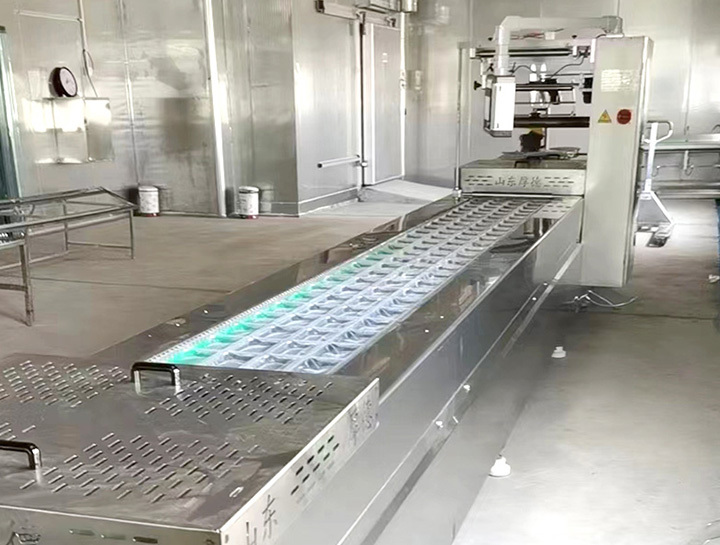 The principle and characteristics of automatic vacuum packaging machine equipment