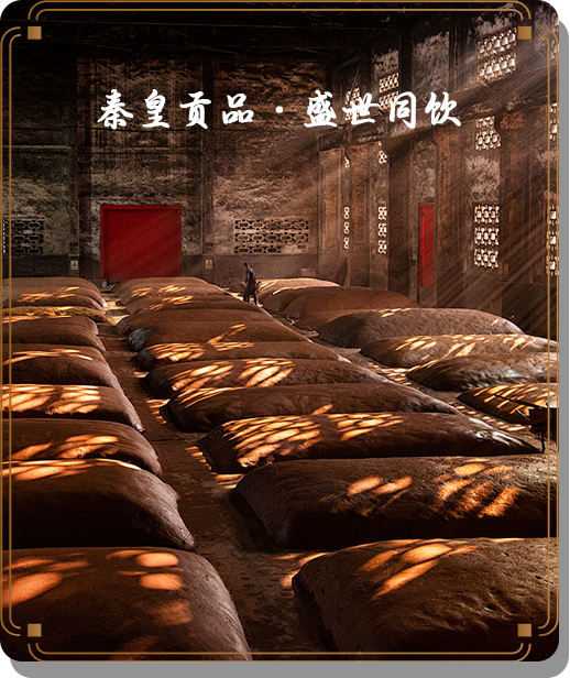 秦皇貢品 盛世同飲