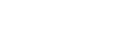 Feiyu