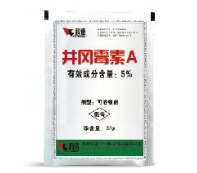 科诺“井冈5%