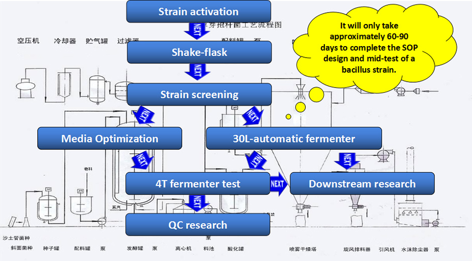 Wuhan Kernel B