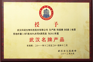 武汉名牌产品