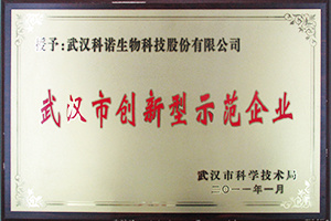 武汉市创新型示范企业