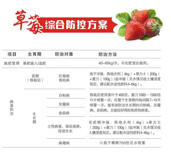 草莓绿色防控方案